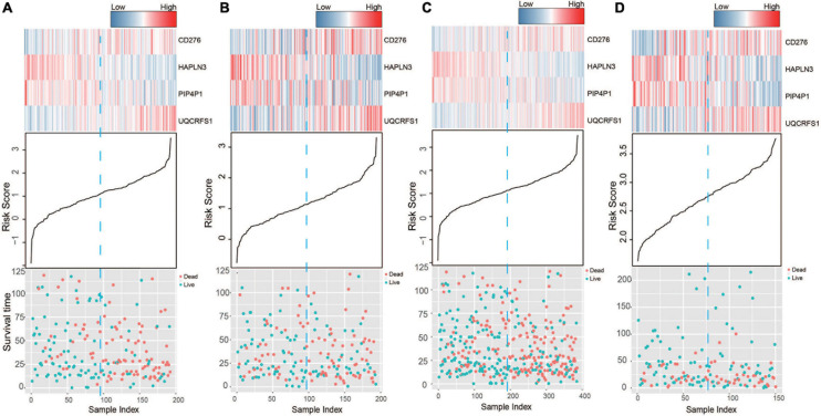 FIGURE 3