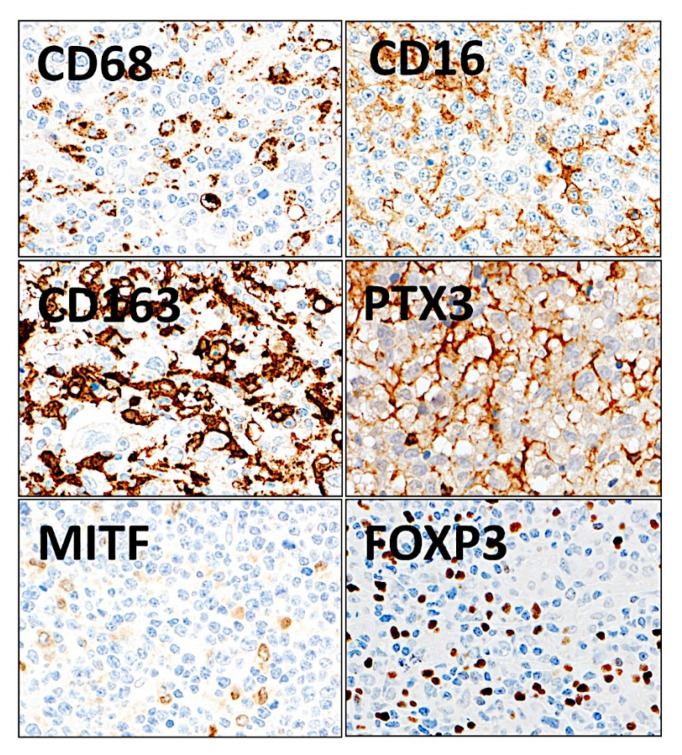 Figure 21