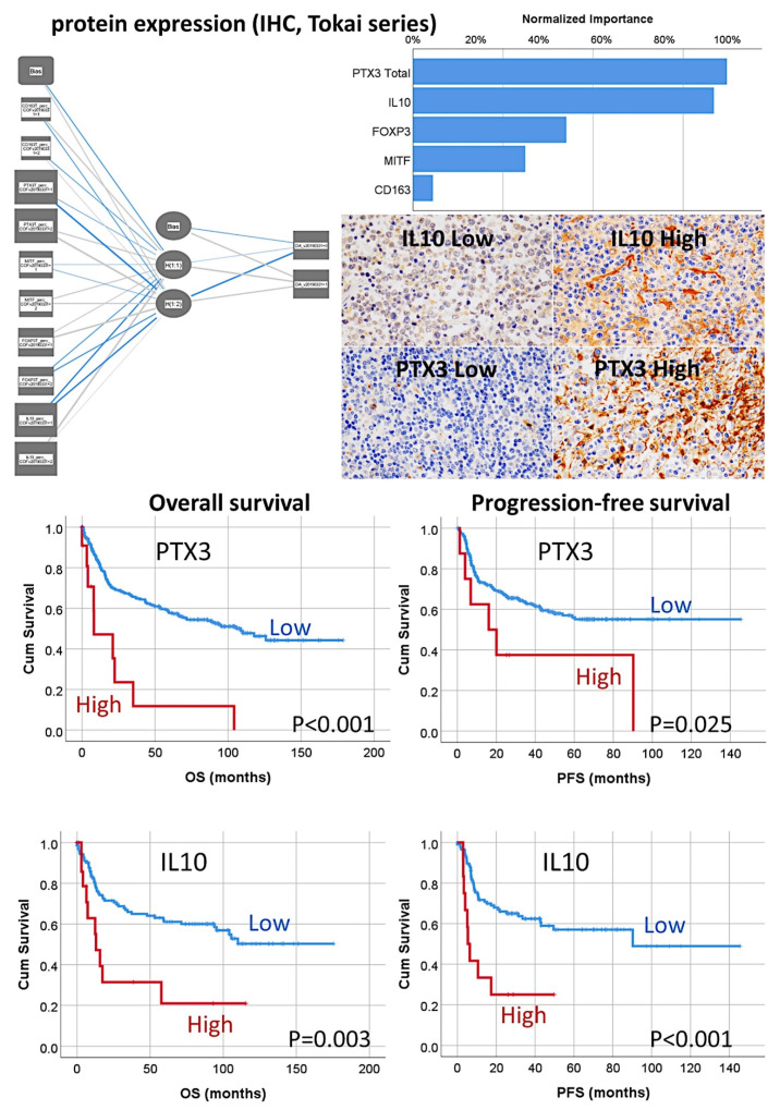 Figure 22