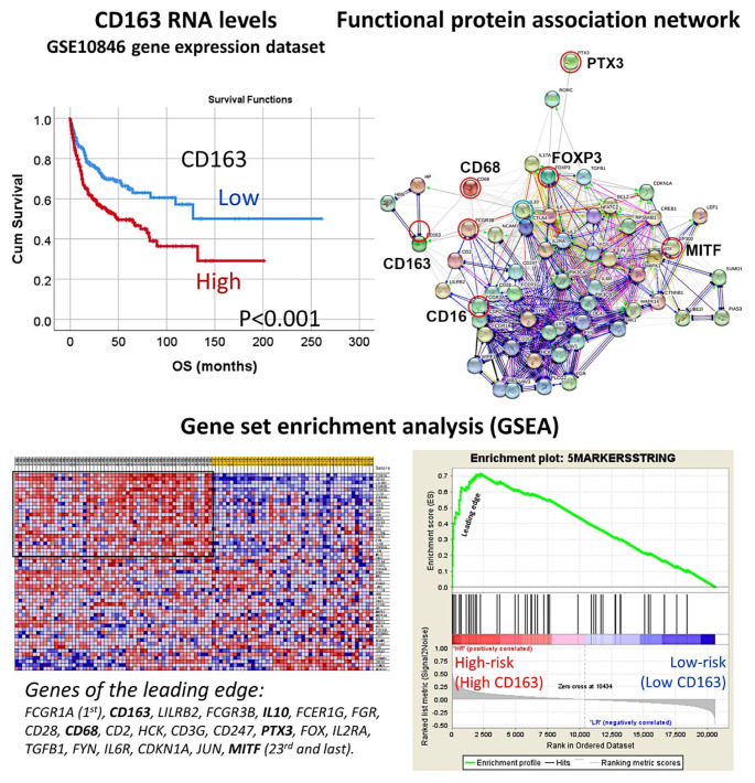 Figure 20