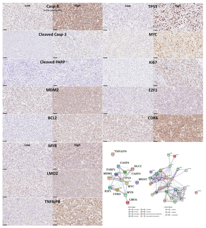 Figure 14