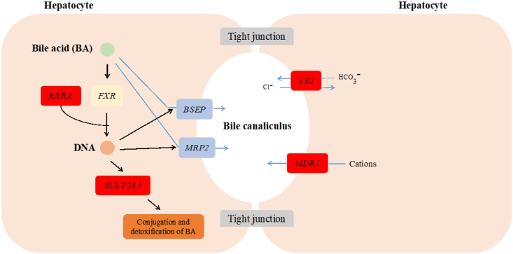 Fig. 6