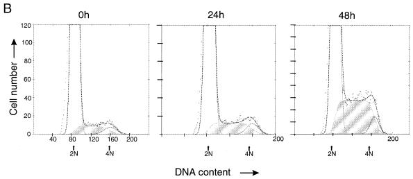 FIG. 5