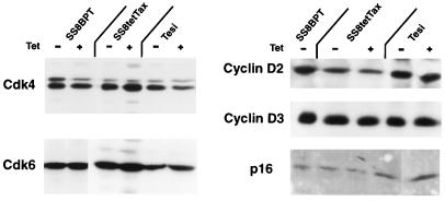 FIG. 6