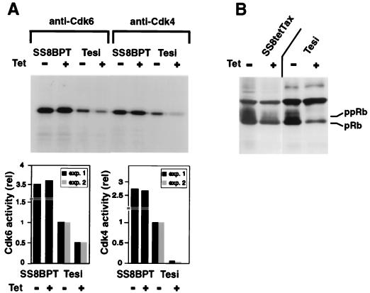 FIG. 7