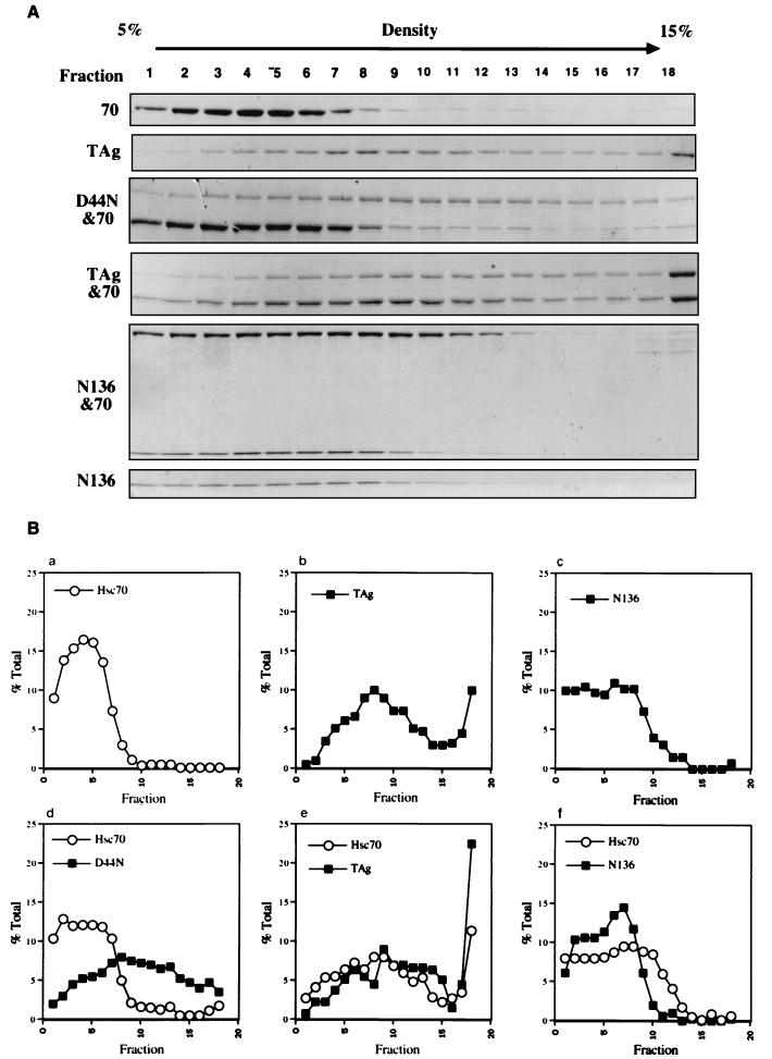 FIG. 6