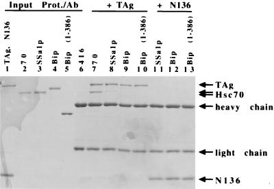 FIG. 5