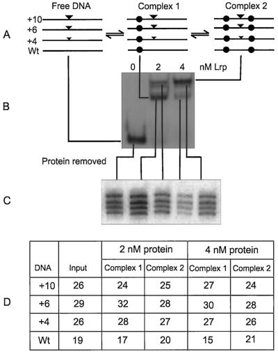 FIG. 3.