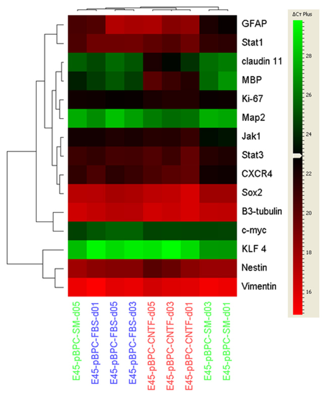 Figure 5