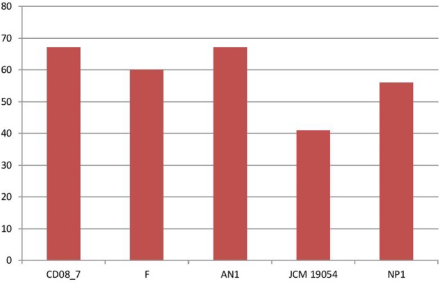 FIGURE 6