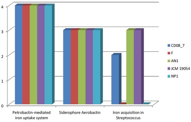 FIGURE 12