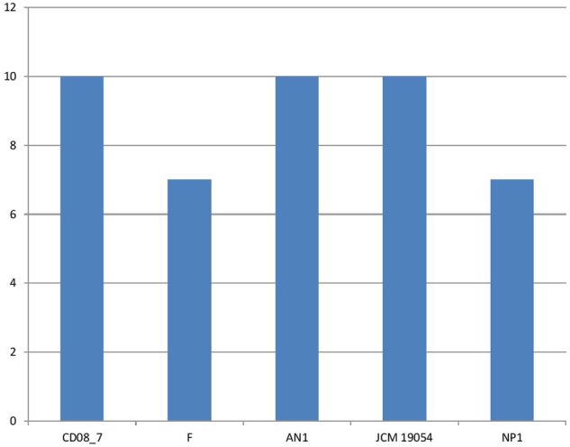 FIGURE 11