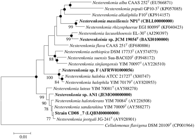 FIGURE 1