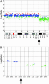 Fig. 4.