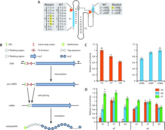 Figure 2.