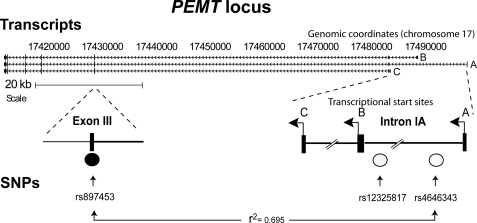 FIGURE 1.