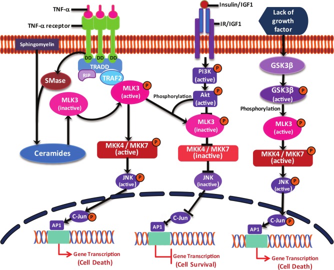 Figure 3.