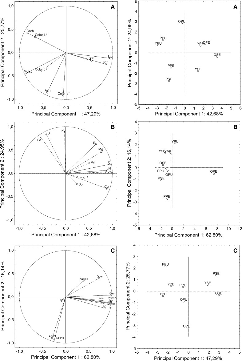 Fig. 1