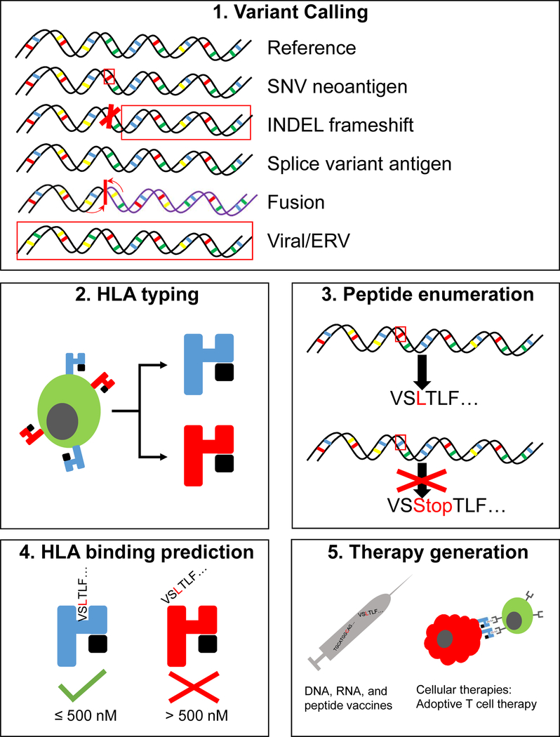 Figure 3: