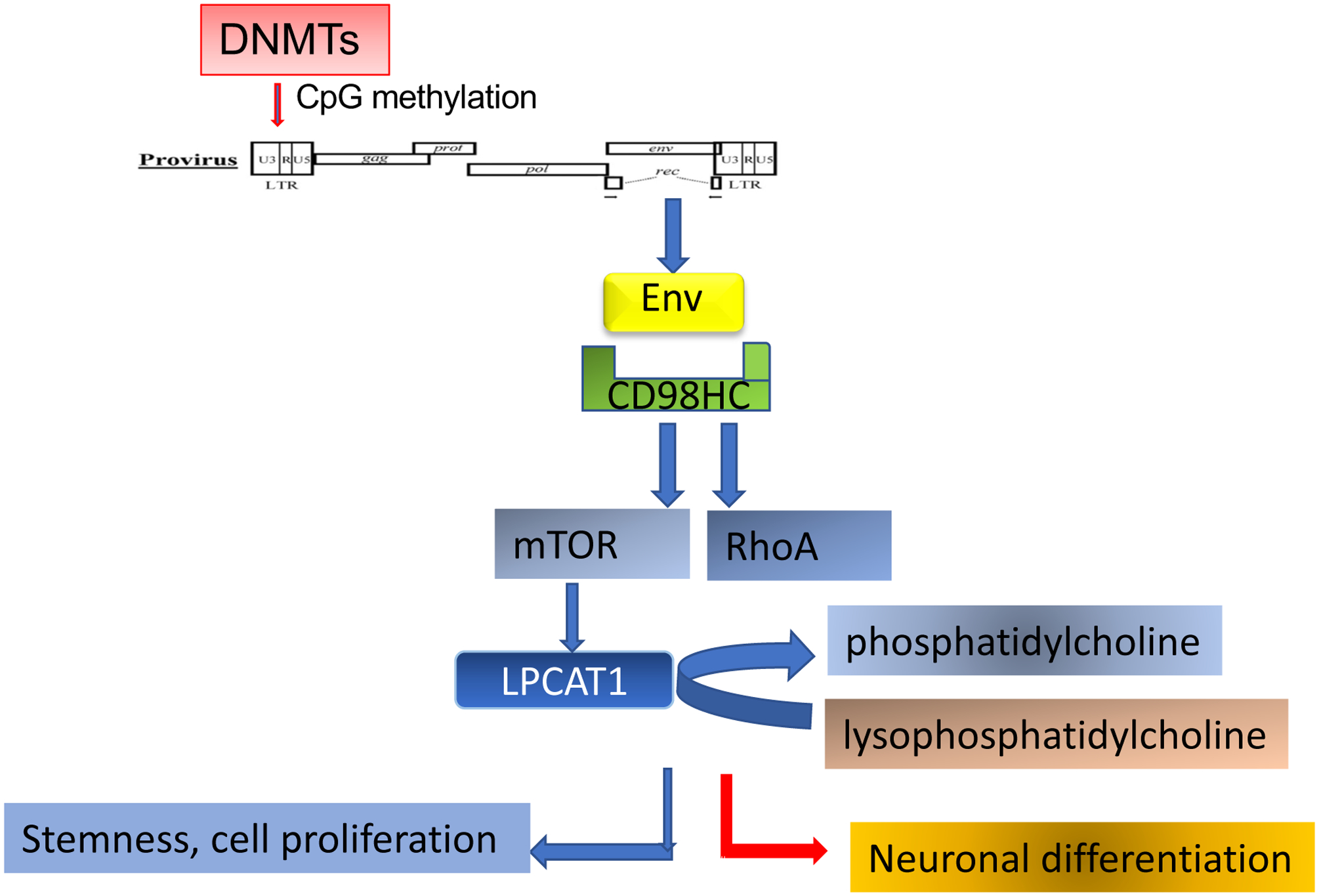 Figure 1: