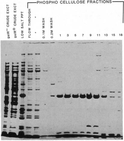 graphic file with name pnas00620-0198-a.jpg