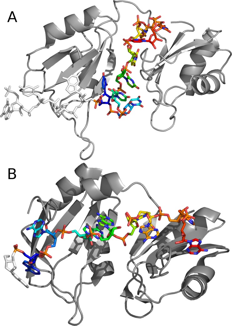 Fig 2