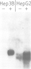 1908