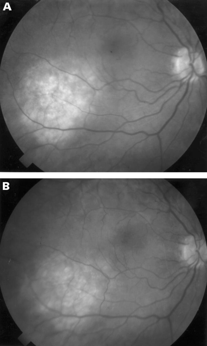 Figure 1  