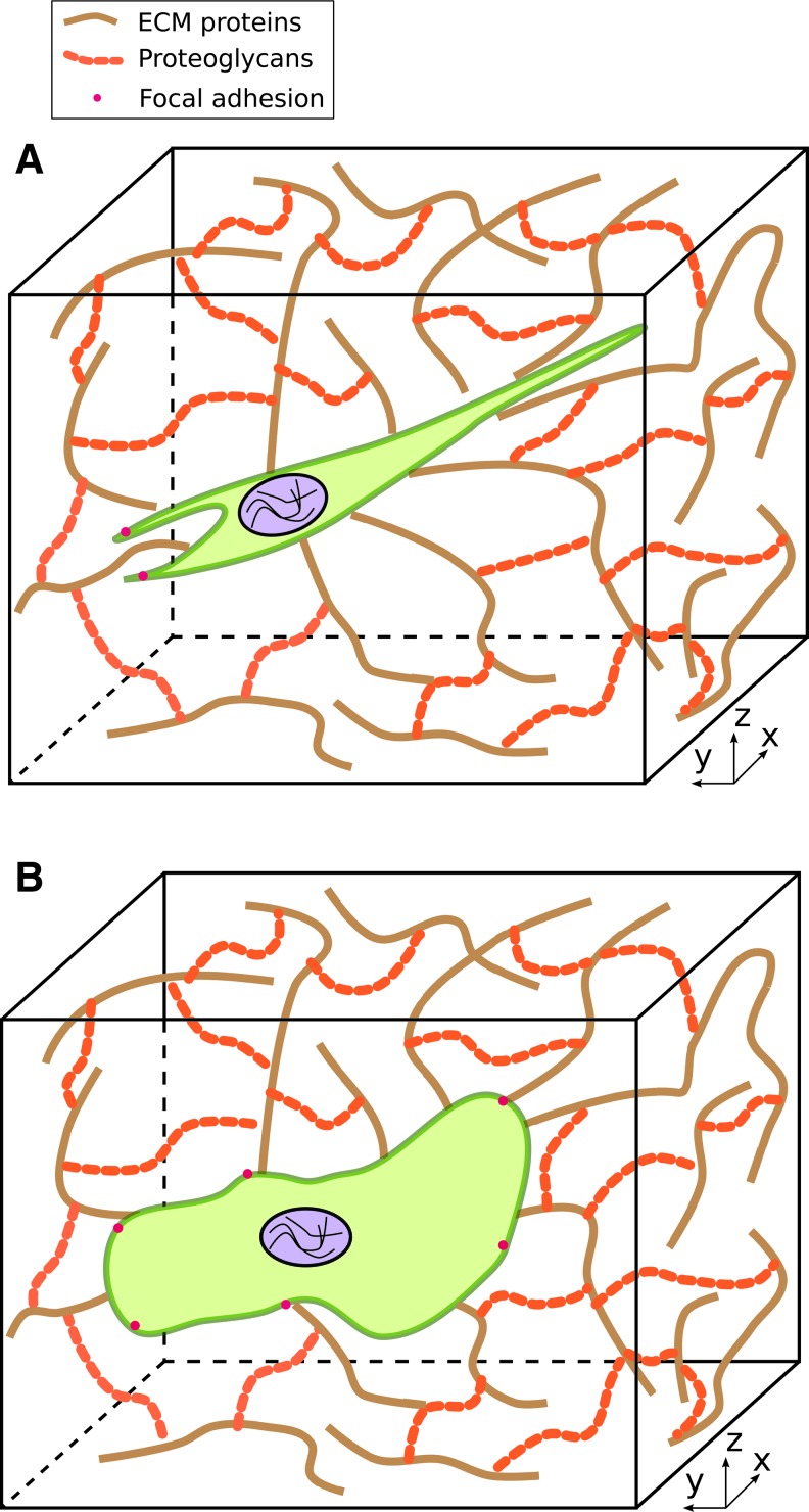 FIG. 2.