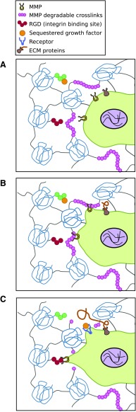 FIG. 4.