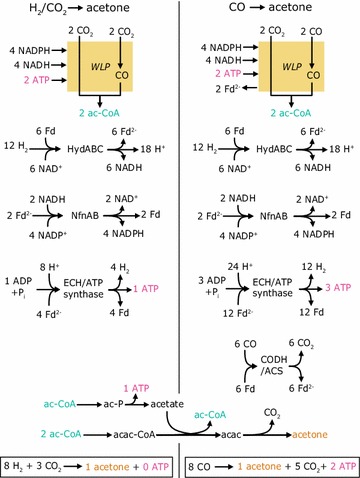 Fig. 3