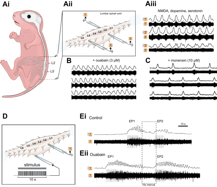 Fig. 4.