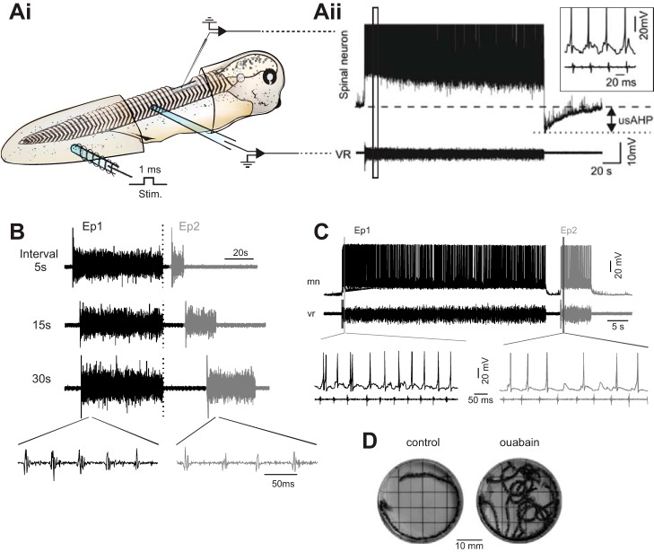 Fig. 3.