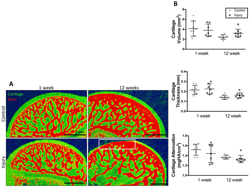 Figure 3: