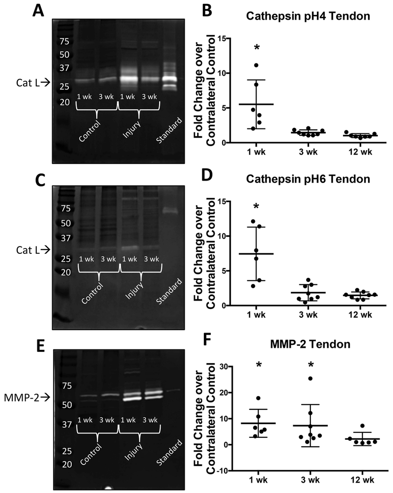 Figure 4: