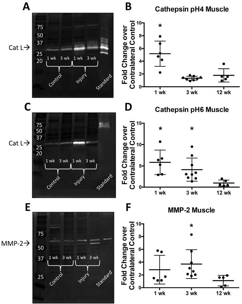 Figure 5: