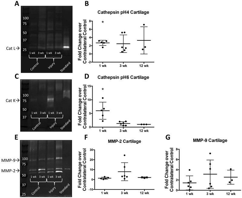 Figure 6: