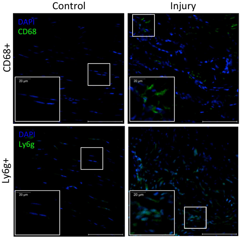 Figure 7: