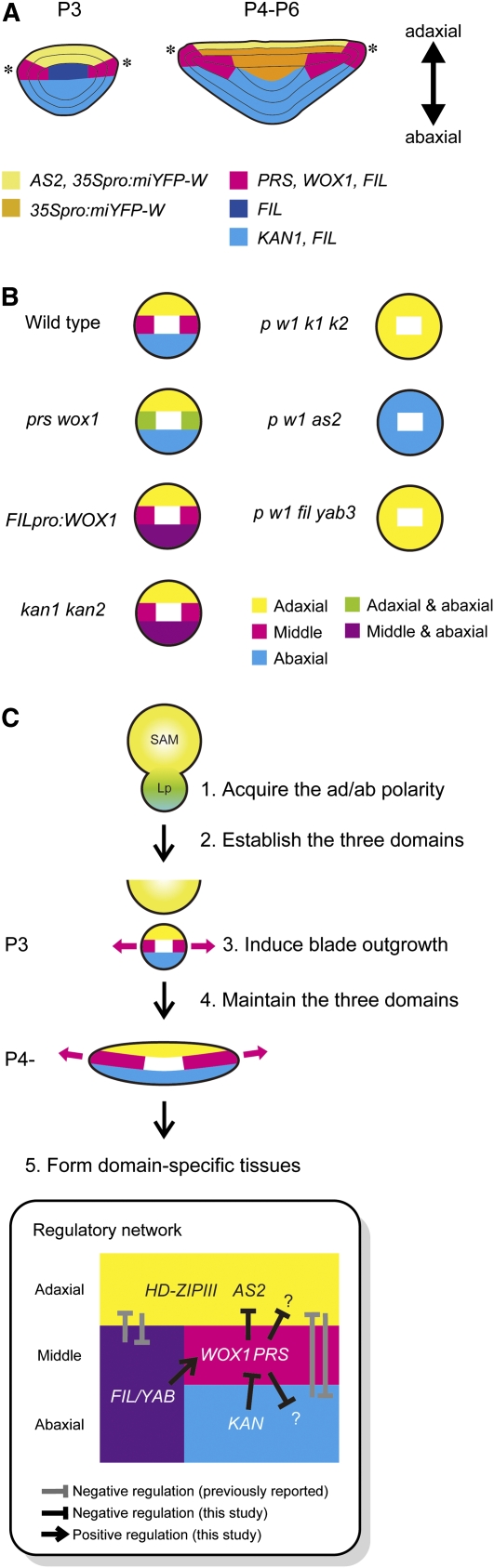 Figure 9.