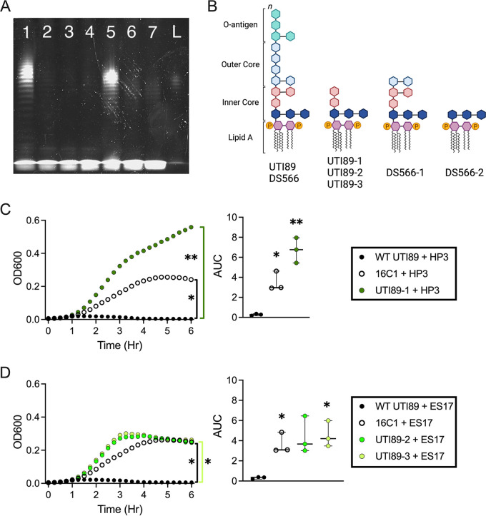 FIG 3