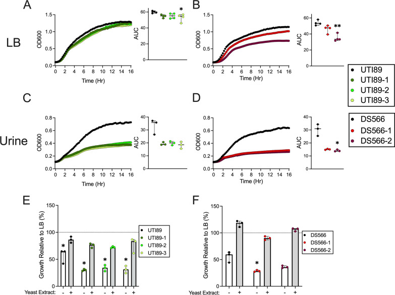 FIG 6