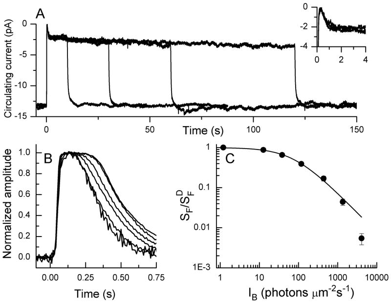 Fig. 2