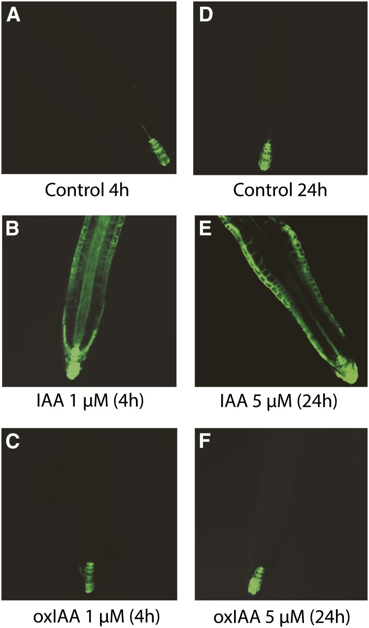 Figure 9.