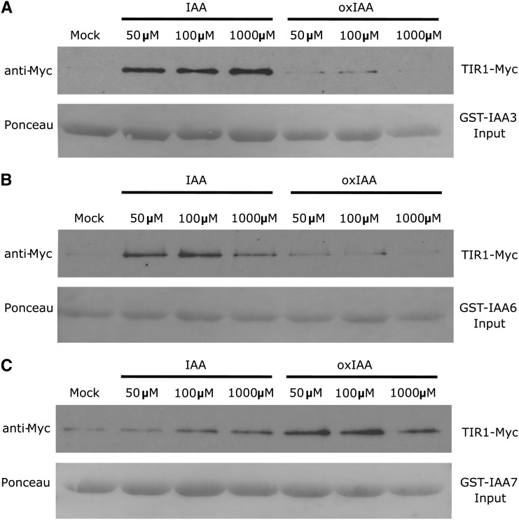 Figure 11.