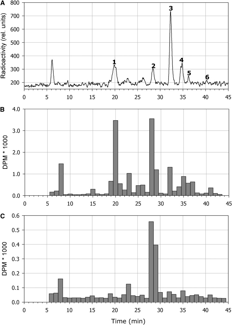 Figure 5.