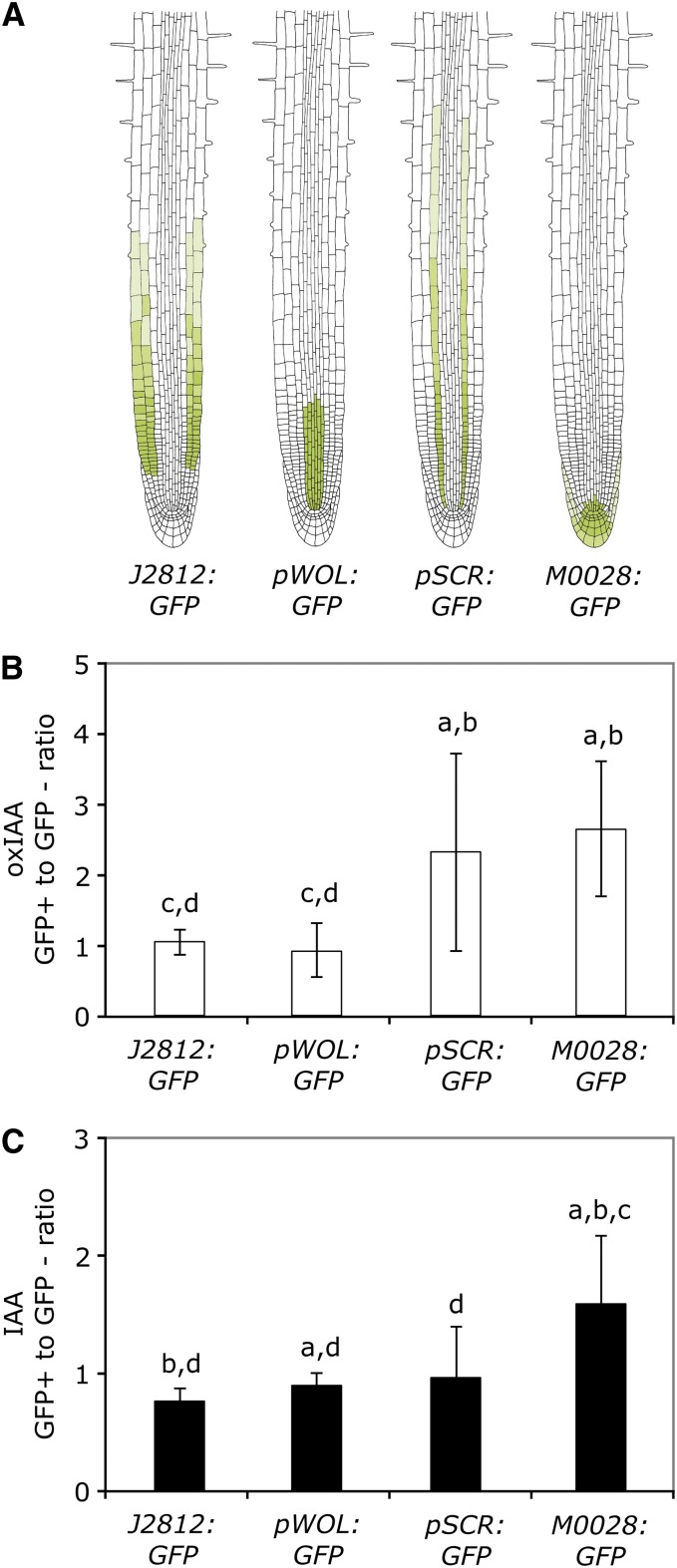 Figure 7.