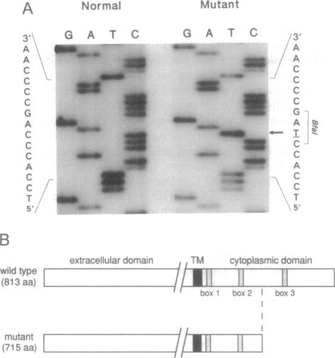 graphic file with name pnas01132-0389-a.jpg