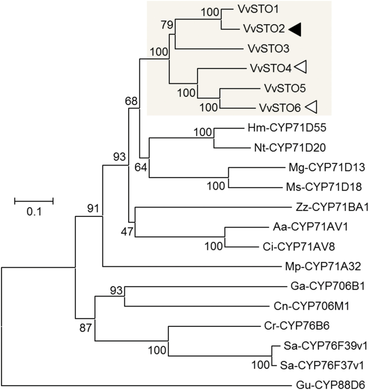 Fig. 7.