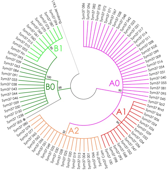 Figure 4