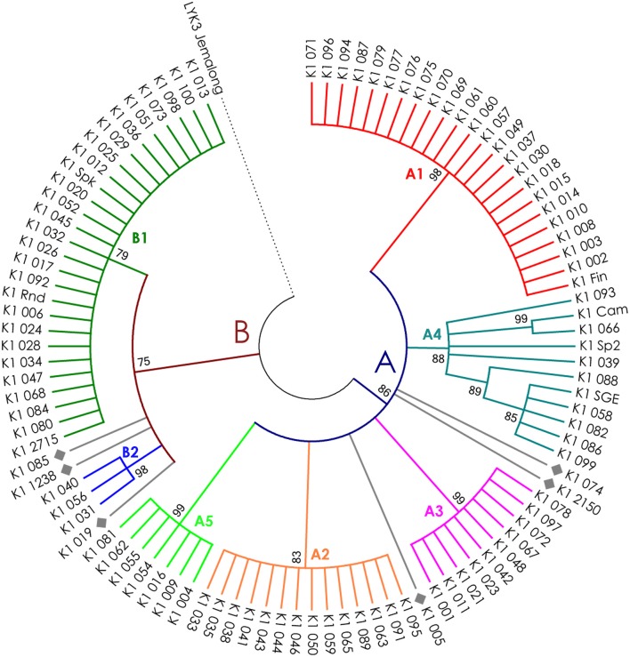 Figure 5